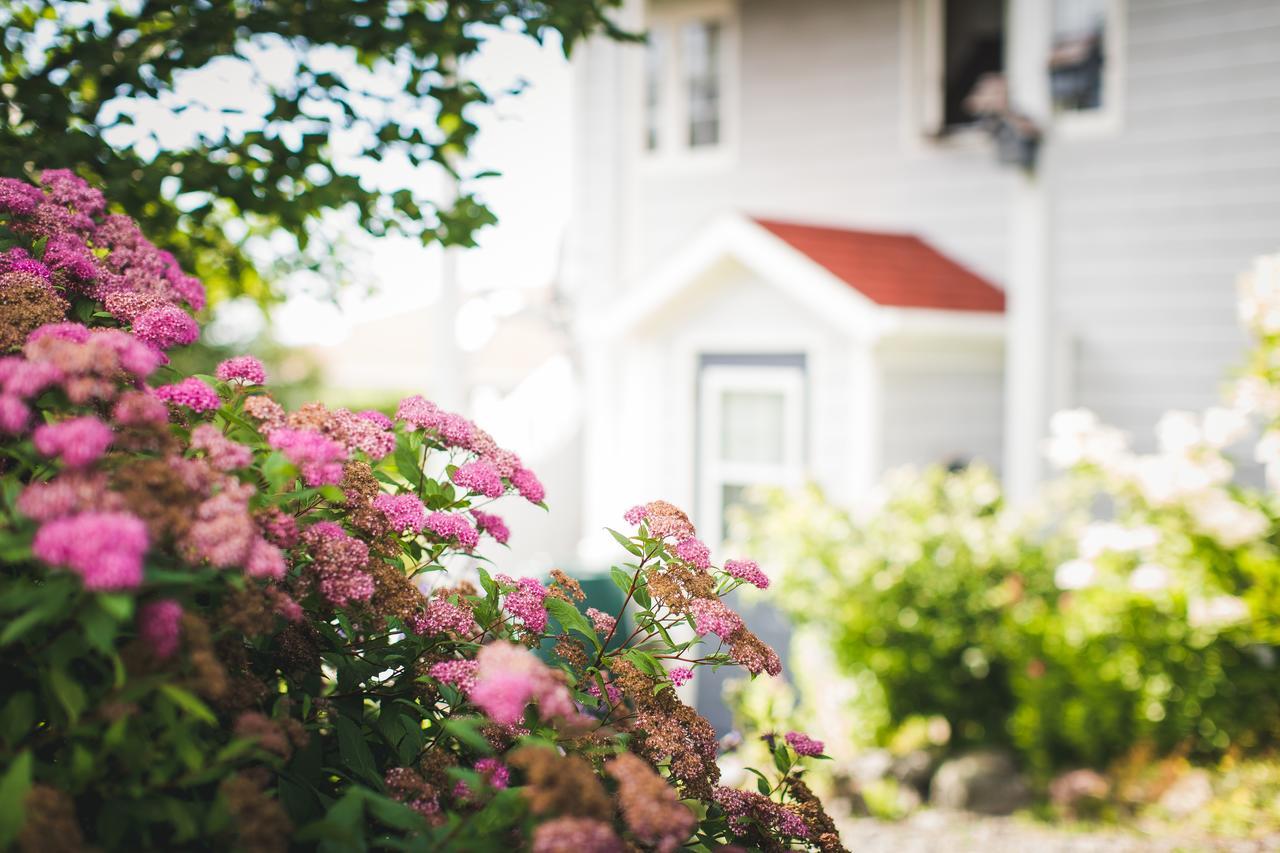 Abbie'S Garden Bed & Breakfast Grand Bank Exterior photo